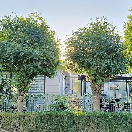 Terspegelt 59-8 Chalet *